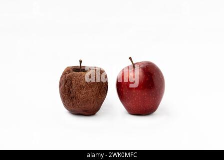 Frischer roter Apfel und faltiger Apfel auf weißem Hintergrund. Alt und jung. Rostig und in gutem Zustand. Alterungskonzept, Trainingskonzept. Stockfoto