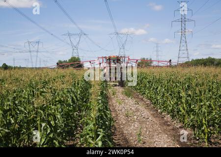 Traktor mit Auslegerspritze, der Pestizidspray auf das Erntegut auf dem Maisfeld aufträgt. Stockfoto