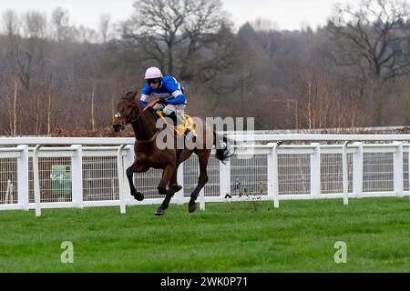 Ascot, Berkshire, Großbritannien. Februar 2024. Horse PIC D'Orhy geritten von Jockey Harry Cobden Gewinner der Betfair Ascot Steeple Chase beim Betfair Ascot Chase Raceday auf der Ascot Racecourse für die Besitzerin Johnny de la Hey und Trainer Paul Nicholls, Ditcheat. Sponsor Der Morson Group. Quelle: Maureen McLean/Alamy Live News Stockfoto