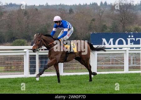 Ascot, Berkshire, Großbritannien. Februar 2024. Horse PIC D'Orhy geritten von Jockey Harry Cobden Gewinner der Betfair Ascot Steeple Chase beim Betfair Ascot Chase Raceday auf der Ascot Racecourse für die Besitzerin Johnny de la Hey und Trainer Paul Nicholls, Ditcheat. Sponsor Der Morson Group. Quelle: Maureen McLean/Alamy Live News Stockfoto