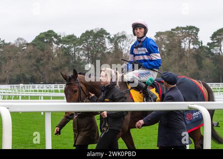 Ascot, Berkshire, Großbritannien. Februar 2024. Horse PIC D'Orhy geritten von Jockey Harry Cobden Gewinner der Betfair Ascot Steeple Chase beim Betfair Ascot Chase Raceday auf der Ascot Racecourse für die Besitzerin Johnny de la Hey und Trainer Paul Nicholls, Ditcheat. Sponsor Der Morson Group. Quelle: Maureen McLean/Alamy Live News Stockfoto