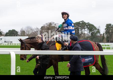 Ascot, Berkshire, Großbritannien. Februar 2024. Horse PIC D'Orhy geritten von Jockey Harry Cobden Gewinner der Betfair Ascot Steeple Chase beim Betfair Ascot Chase Raceday auf der Ascot Racecourse für die Besitzerin Johnny de la Hey und Trainer Paul Nicholls, Ditcheat. Sponsor Der Morson Group. Quelle: Maureen McLean/Alamy Live News Stockfoto