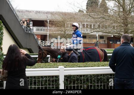 Ascot, Berkshire, Großbritannien. Februar 2024. Horse PIC D'Orhy geritten von Jockey Harry Cobden Gewinner der Betfair Ascot Steeple Chase beim Betfair Ascot Chase Raceday auf der Ascot Racecourse für die Besitzerin Johnny de la Hey und Trainer Paul Nicholls, Ditcheat. Sponsor Der Morson Group. Quelle: Maureen McLean/Alamy Live News Stockfoto