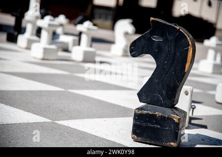 Ein schwarzes Ritterschachstück mit einem Pferdekopf auf einem großen grau-weißen Schachbrett, mit anderen Teilen im unscharfen Hintergrund und einem leicht geneigten Foto Stockfoto