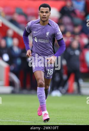 London, Großbritannien. Februar 2024. Cody Gakpo aus Liverpool während des Premier League-Spiels im Gtech Community Stadium in London. Der Bildnachweis sollte lauten: Paul Terry/Sportimage Credit: Sportimage Ltd/Alamy Live News Stockfoto