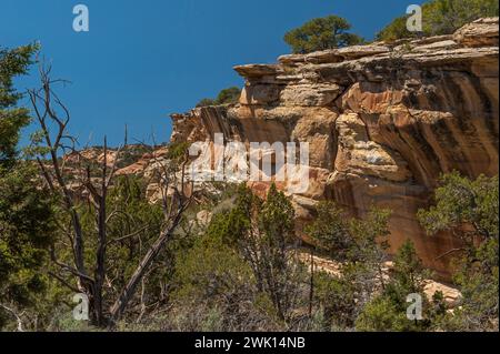 Canyon Mauern auf dem Weg zur Glimmermine in der Nähe von Grand Junction Colorado Stockfoto