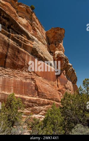 Eine Schluchtwand entlang des Mica Mine Trail in der Nähe von Grand Junction, Colorado Stockfoto