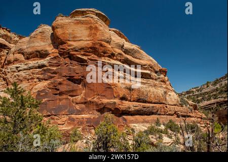 Eine Entrada Sandsteinküste entlang des Mica Mines Trail in der Nähe von Grand Junction, CO Stockfoto