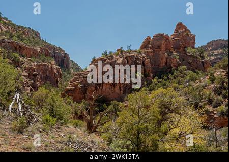 Entlang des Mica Mine Trail, Grand Junction Colorado Stockfoto