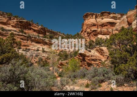 Entlang des Mica Mine Trail im Ladder Canyon, Grand Junction Colorado Stockfoto