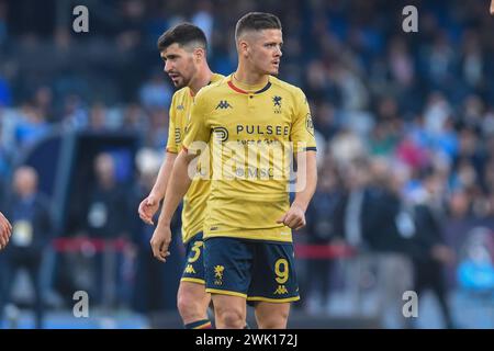 Neapel, Italien. Februar 2024. Vitinha von Genua CFC während des Spiels der Serie A zwischen SSC Napoli und Genua CFC im Stadio Diego Armando Maradona Neapel Italien am 17. Februar 2024. Franco Romano/Alamy Live News Stockfoto