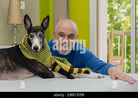 Porträt eines Mannes, der posiert und seinen geretteten windhund mit einem grünen Schal auf dem Bett ansieht. Stockfoto