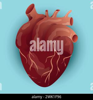 Detaillierte Vektorillustration des menschlichen Herzens mit Venensystem vor blauem Hintergrund. Kardiologie, Gesundheit, Medizin, Anatomie. Stock Vektor