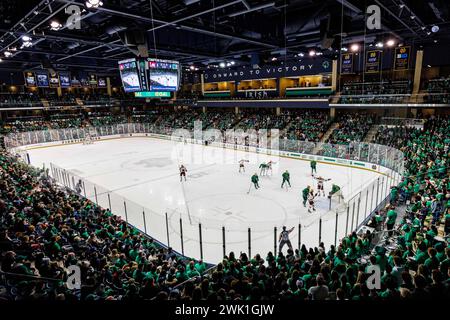 South Bend, Indiana, USA. Februar 2024. Ein allgemeiner Überblick während der NCAA-Eishockeyspiele zwischen den Minnesota Golden Gophers und den Notre Dame Fighting Irish in der Compton Family Ice Arena in South Bend, Indiana. John Mersits/CSM/Alamy Live News Stockfoto