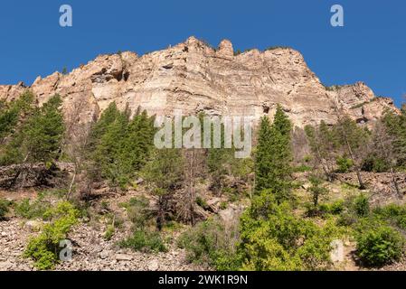 Klippen vom Grizzly Creek Trail im Glenwood Canyon, White River National Forest (Glenwood Springs, Colorado, USA) Stockfoto