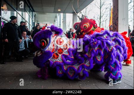 Während der Zeremonie tanzen zwei Löwen. Löwentänzer und Drachentänzer ziehen durch die Straßen Rotterdams, um die neuen Unternehmer zu segnen. Die Löwentanzzeremonie sorgt dafür, dass böse Geister verjagt werden und bringt Wohlstand und Glück für das neue Jahr. Chinesische Gemeinden auf der ganzen Welt begrüßten das Jahr des Drachen am Dienstag und läuteten das Mondneujahr mit Gebeten, Familienfesten und Einkaufsbummel ein. Es ist ein jährlich stattfindendes 15-tägiges Festival, das mit dem Neumond zwischen dem 21. Januar und dem 20. Februar in westlichen Kalendern beginnt. Stockfoto
