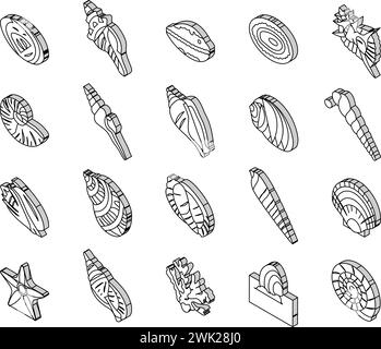 Sea Shell Strand Sommer Ozean isometrische Symbole setzen Vektor Stock Vektor