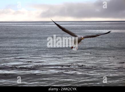 Montecito, CA, USA. Februar 2024. Seemöbel unter grauem Himmel mit nur einem Hauch von Babyblau lässt den nächsten drohenden Sturm an der prekären zentralen Küste von CaliforniaÃs vorausahnen. Sturmwarnungen und bevorstehende Evakuierungen sind bereits für diesen nächsten Regen-, Wind- und Brandanfall in Kraft. (Kreditbild: © Amy Katz/ZUMA Press Wire) NUR REDAKTIONELLE VERWENDUNG! Nicht für kommerzielle ZWECKE! Stockfoto