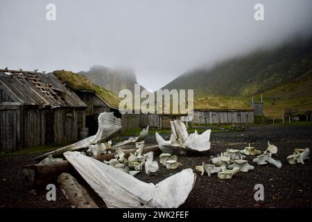 Wikingerdorf mit Knochen und Nebel in Hofn, Island Stockfoto