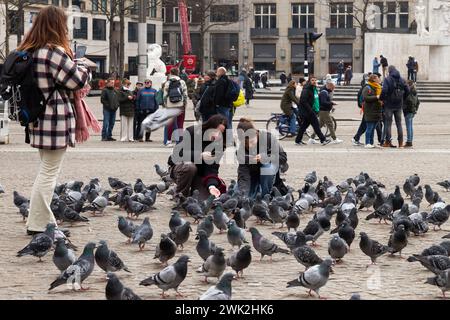 Touristen füttern Tauben und machen Fotos auf dem Dam-Platz in Amsterdam. Stockfoto