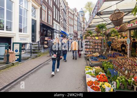 Schwimmender farbenfroher Blumenmarkt (Bloemenmarkt) auf dem Singel im Zentrum von Amsterdam. Beliebter Ort für Touristen. Stockfoto