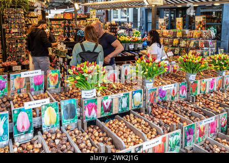 Halten Sie am schwimmenden Blumenmarkt mit Blumenzwiebeln, Samen und Souvenirs entlang der Singel in Amsterdam. Stockfoto