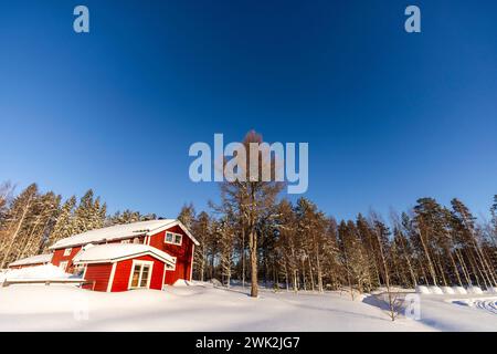 Ambiente während der Rallye, Schweden. , . WRC World Rallye Car Championship, 15. Bis 18. Februar 2024 in Umea, Schweden - Foto Nikos Katikis/DPPI Credit: DPPI Media/Alamy Live News Stockfoto