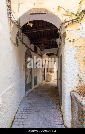 Durchgang mit einem Bogen in der Medina von Tanger, Marokko, Nordafrika Stockfoto