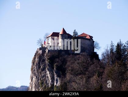 Berühmter See Bled am sonnigen Herbstnachmittag mit Schloss, Insel und klarem Wasser mit Reflexionen Stockfoto