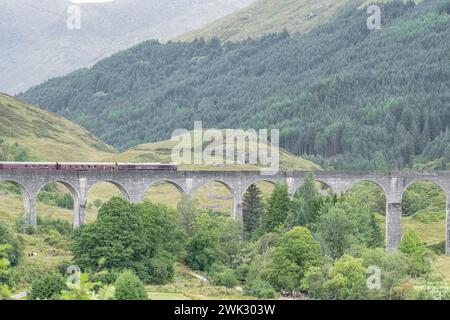 Royal Scotsman Oldtimer-Diesellokomotive auf dem Glenfinnan Viaduct, Highlands, Schottland Stockfoto
