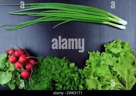 Frisches Gemüse und Grün auf dunklem Holzhintergrund. Draufsicht. Das Konzept einer gesunden Ernährung. Vegetarismus. Feder. Stockfoto