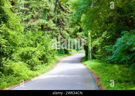 Donghae City, Südkorea - 28. Juli 2019: Ein gewundener Radweg schlängelt sich durch den Hügel nahe dem Jeon Stream, umgeben von einem üppig grünen Baldachin Stockfoto