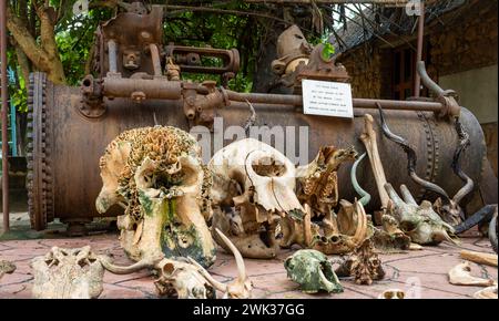 Eine Dampfmaschine, die 1917 von deutschen Truppen abgelassen wurde, und Tierschädel am Eingang des Nyerere Nationalparks (Selous Game Reserve) in Tansania. Stockfoto