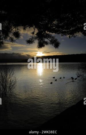 Herbstblick über das Swinsty Reservoir im Washburn Valley westlich von Harrogate Town, Yorkshire Dales National Park, England, Großbritannien Stockfoto