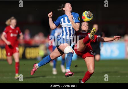 Crawley, Großbritannien. Februar 2024. Liverpool's Gemma Bonner fordert Brightons Elisabeth Terland beim Spiel der Barclays Women's Super League zwischen Brighton & Hove Albion und Liverpool im Broadfield Stadium in Crawley heraus. Quelle: James Boardman/Alamy Live News Stockfoto