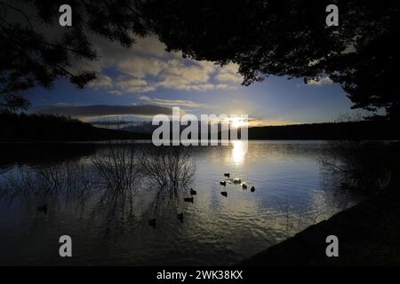 Herbstblick über das Swinsty Reservoir im Washburn Valley westlich von Harrogate Town, Yorkshire Dales National Park, England, Großbritannien Stockfoto