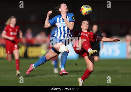 Crawley, Großbritannien. Februar 2024. Liverpool's Gemma Bonner fordert Brightons Elisabeth Terland beim Spiel der Barclays Women's Super League zwischen Brighton & Hove Albion und Liverpool im Broadfield Stadium in Crawley heraus. Quelle: James Boardman/Alamy Live News Stockfoto