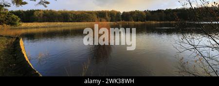 Herbstblick über das Swinsty Reservoir im Washburn Valley westlich von Harrogate Town, Yorkshire Dales National Park, England, Großbritannien Stockfoto