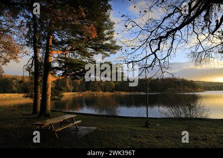 Herbstblick über das Swinsty Reservoir im Washburn Valley westlich von Harrogate Town, Yorkshire Dales National Park, England, Großbritannien Stockfoto