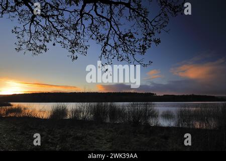 Herbstblick über das Swinsty Reservoir im Washburn Valley westlich von Harrogate Town, Yorkshire Dales National Park, England, Großbritannien Stockfoto