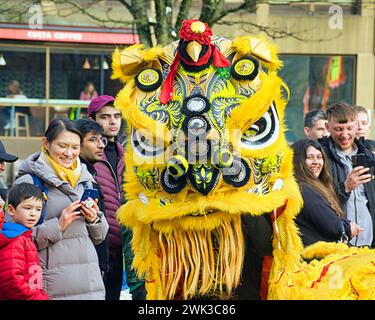 Glasgow, Schottland, Großbritannien. Februar 2024. Das Jahr des Drachen und die jährlichen Festlichkeiten zum chinesischen Neujahrsfest in Glasgow kehren auf den George Square zurück. Die Chinese Cultural and Welfare Society Scotland veranstaltet ihre jährliche öffentliche Ausstellung mit einem Löwentanz. Credit Gerard Ferry/Alamy Live News Stockfoto