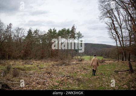 Waldspaziergang in Ruhe und frisch 18.02.24, Selters: Symbolfoto, Illustrationsbild, Symbolbild, Illustrationsfoto Waldspaziergang in Ruhe und frische eine Frau genießt einen entspannten Spaziergang im Wald, umgeben von der beruhigenden Stille und der frischen, klare Luft. Sie geht langsam auf einem Waldweg, umgeben von dichten Bäumen und dem sanften rauschen der Blätter, was eine Atmosphäre der Ruhe und Entspannung schafft Selters Hessen Deutschland *** Waldweg in Ruhe und Frische 18 02 24, Selters Symbolfoto, Illustrationsbild, Symbolbild, Illustrationsfoto Waldspaziergang in Frieden und Stockfoto