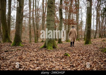 Waldspaziergang in Ruhe und frisch 18.02.24, Selters: Symbolfoto, Illustrationsbild, Symbolbild, Illustrationsfoto Waldspaziergang in Ruhe und frische eine Frau genießt einen entspannten Spaziergang im Wald, umgeben von der beruhigenden Stille und der frischen, klare Luft. Sie geht langsam auf einem Waldweg, umgeben von dichten Bäumen und dem sanften rauschen der Blätter, was eine Atmosphäre der Ruhe und Entspannung schafft Selters Hessen Deutschland *** Waldweg in Ruhe und Frische 18 02 24, Selters Symbolfoto, Illustrationsbild, Symbolbild, Illustrationsfoto Waldspaziergang in Frieden und Stockfoto