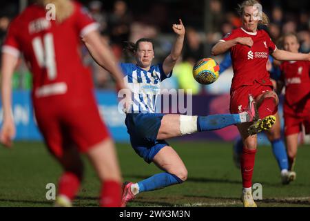 Crawley, Großbritannien. Februar 2024. Brightons Elisabeth Terland fordert die Gemma Bonner von Liverpool beim Barclays Women's Super League-Spiel zwischen Brighton & Hove Albion und Liverpool im Broadfield Stadium in Crawley heraus. Quelle: James Boardman/Alamy Live News Stockfoto