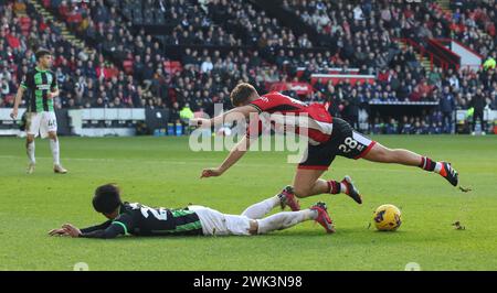 Bramall Lane, Sheffield, Großbritannien. Februar 2024. Premier League Football, Sheffield United gegen Brighton und Hove Albion; Kaoru Mitoma von Brighton & amp; Hove Albion wird von James McAtee von Sheffield United gefördert Stockfoto