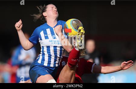 Crawley, Großbritannien. Februar 2024. Liverpool's Gemma Bonner fordert Brightons Elisabeth Terland beim Spiel der Barclays Women's Super League zwischen Brighton & Hove Albion und Liverpool im Broadfield Stadium in Crawley heraus. Quelle: James Boardman/Alamy Live News Stockfoto