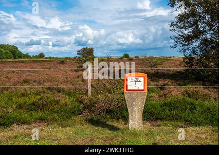 Insel Amrum Nordfriesland - Heidelandschaft auf der Nordseeinsel Amrum an einem Radweg Stockfoto