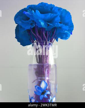 Stillleben mit blauen Blumen. Blumenstrauß aus Mohn (Papaver) in einer Glasvase auf dem Tisch. Wunderschöner und ursprünglich gestalteter, zarter Bouquet Stockfoto