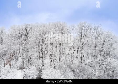 Blick aus der Vogelperspektive auf den Hügel mit schneebedeckten Bäumen im Winter, Pennsylvania, USA Stockfoto