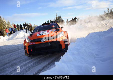 Umea, Schweden. Februar 2024. Fahrer Georg Linnamae und Beifahrer James Morgan fahren den Toyota Gr Yaris an der FIA-Rallye-Weltmeisterschaft 2024. Quelle: SOPA Images Limited/Alamy Live News Stockfoto